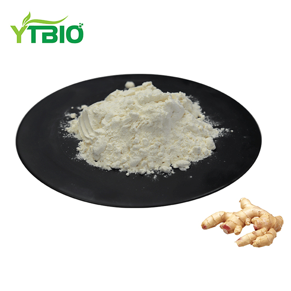Galangin Powder